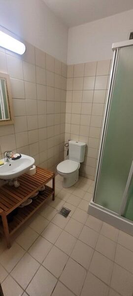 Stefan cel Mare, Central Park,